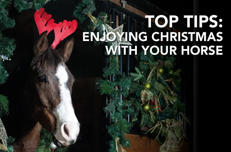 Top Tips for enjoying Christmas with your horse